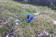 Kar nekaj jih je bilo...