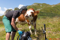 Je ni ki bi se mu lahko uprla... love is in the air...